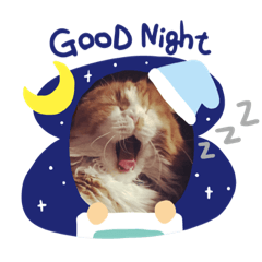 [LINEスタンプ] 垂れ耳 ちょこ