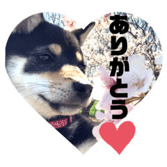 [LINEスタンプ] Himenoすたんぷ⭐️2