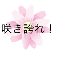 [LINEスタンプ] 多い、安い、汎用性が高い！スタンプ