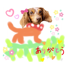 [LINEスタンプ] 我が家の愛犬ファミリー
