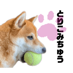 [LINEスタンプ] りくそら よく使う
