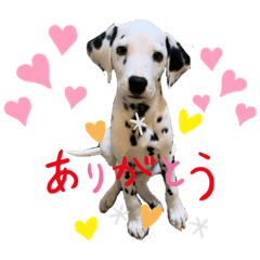 [LINEスタンプ] ダル♡スタンプ