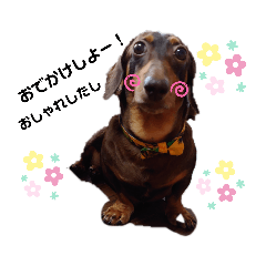 [LINEスタンプ] まろさんともんちゃんpart2
