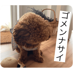 [LINEスタンプ] 愛しのLunaルーナ
