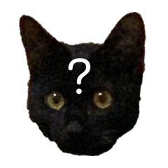 [LINEスタンプ] テト＆クー