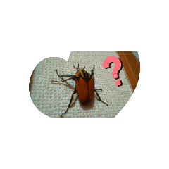 [LINEスタンプ] 昆虫 カナブン クワガタ