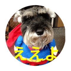 [LINEスタンプ] 大阪弁スコット