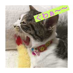 [LINEスタンプ] 杏ちゃんのわけわけスタンプ4♡
