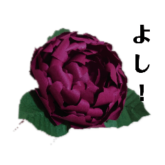 [LINEスタンプ] 紙な花たちの言葉
