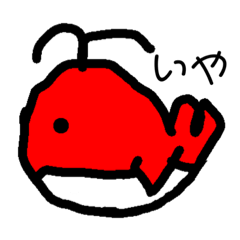 [LINEスタンプ] みんな、クジラ信者の画像（メイン）