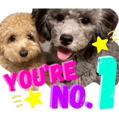 [LINEスタンプ] NicoとSena #2
