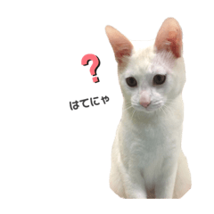 [LINEスタンプ] 白玉さんのきもち3