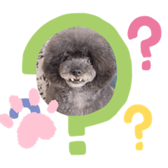 [LINEスタンプ] 愛犬スタンプ うめぷー、ぼぶむさ
