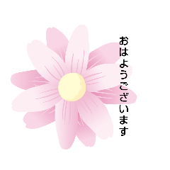 [LINEスタンプ] みーきょスタンプ's   8