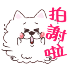 [LINEスタンプ] Peng Peng Le-She is a Fox Dogの画像（メイン）