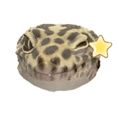[LINEスタンプ] ウサギとトカゲ