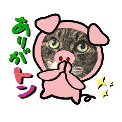 [LINEスタンプ] うちの⑤にゃんこ