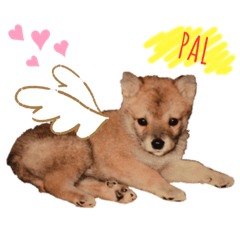 [LINEスタンプ] ぱるすたんぷ。