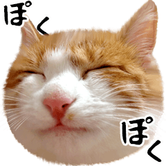[LINEスタンプ] 吾輩は靴下ねこである。