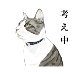 [LINEスタンプ] 猫だけの日常会話スタンプ