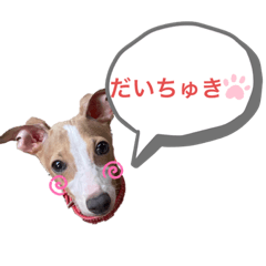 [LINEスタンプ] ろにまる スタンプ