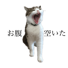 [LINEスタンプ] ルークとレオ
