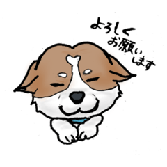 [LINEスタンプ] 犬のクロ、敬語スタンプ