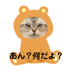 [LINEスタンプ] 我が家の長女。7歳です。