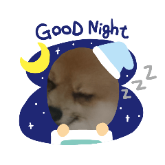 [LINEスタンプ] 可愛いポメラニアンルル