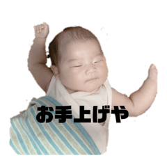 [LINEスタンプ] 色々、いろたん