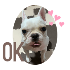 [LINEスタンプ] うめちんの日常