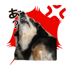 [LINEスタンプ] レオひな