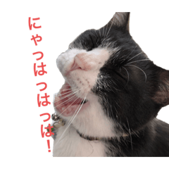[LINEスタンプ] 十夢君スタンプ改