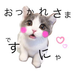 [LINEスタンプ] ひなこpart.1