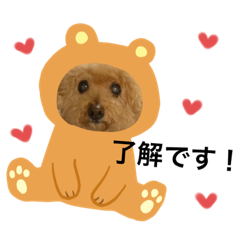 [LINEスタンプ] My feelings towa