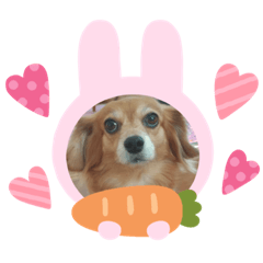 [LINEスタンプ] HMM stam P②