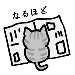 [LINEスタンプ] 使いやすい♡サバトラ猫スタンプ