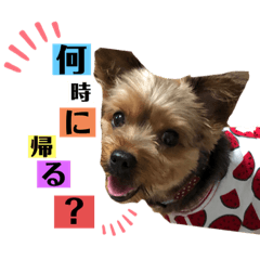 [LINEスタンプ] たぐち犬の可愛い子たち