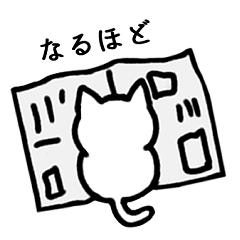 [LINEスタンプ] 使いやすい♡オッドアイの白猫スタンプ