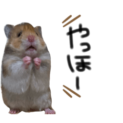あにまるすたんぷ①
