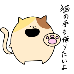 [LINEスタンプ] アニマルズ【ことわざ】