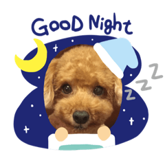 [LINEスタンプ] 愛しのチー