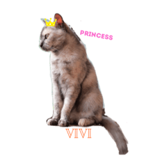 [LINEスタンプ] ビビとジャックとくるん