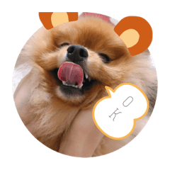[LINEスタンプ] るるちゃんず