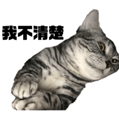 [LINEスタンプ] ........！