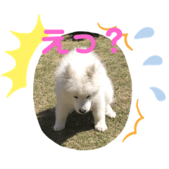 [LINEスタンプ] らんゆきまるる1