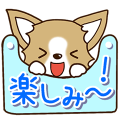 [LINEスタンプ] チワワ 犬スタンプ【基本編】