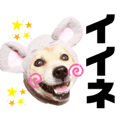 [LINEスタンプ] おぶーのスタンプ