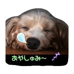 [LINEスタンプ] ぁらら❨3❩