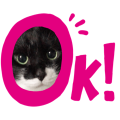 [LINEスタンプ] にゃーちゃんの日常 癒し